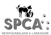 spca logo