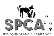 spca logo